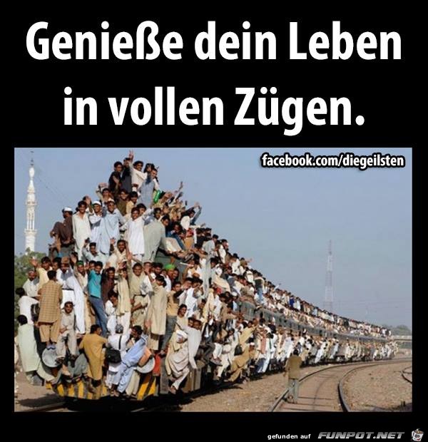 genieße dein Leben in vollen Zügen genieße dein Leben in vollen Zügen