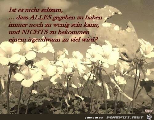 IMG 705944834433169 IMG 705944834433169