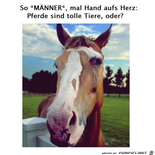 So Maenner