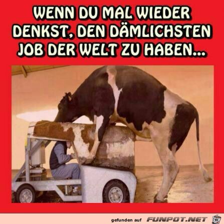 wenn du mal wieder denkst wenn du mal wieder denkst