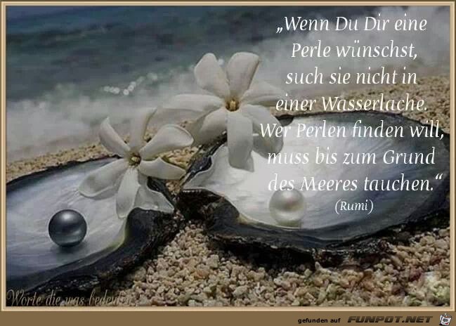 Wenn Du Dir eine Perle wünschst... Wenn Du Dir eine Perle wünschst...