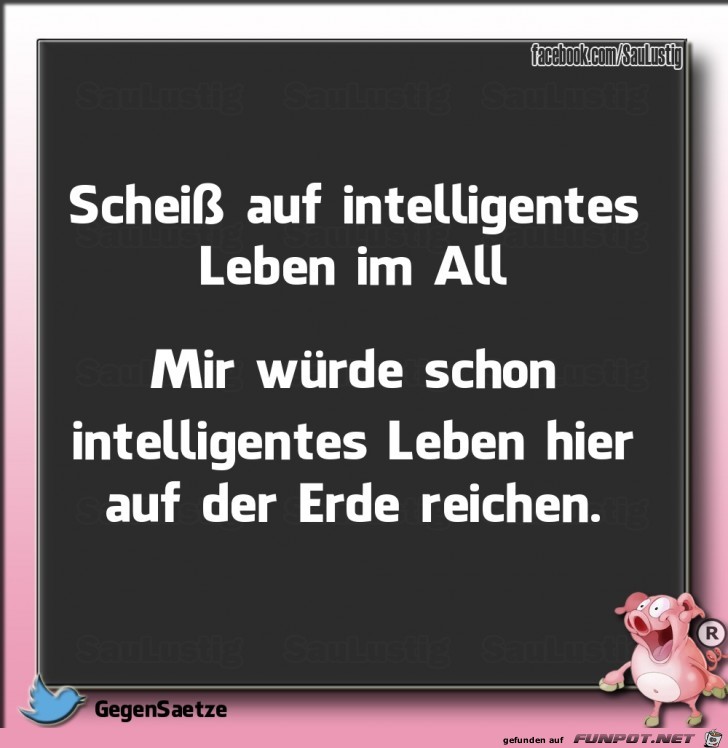  Scheiss auf intelligentes Leben