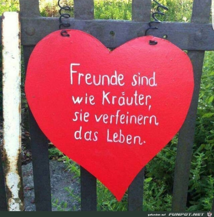 freunde sind wie Kraeuter freunde sind wie Kraeuter