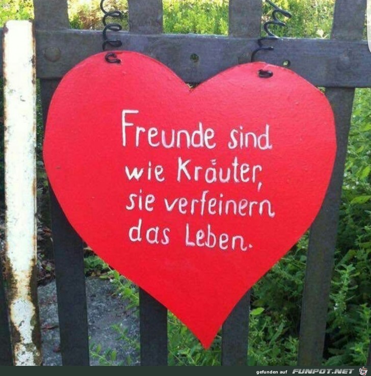 freunde sind wie Kraeuter