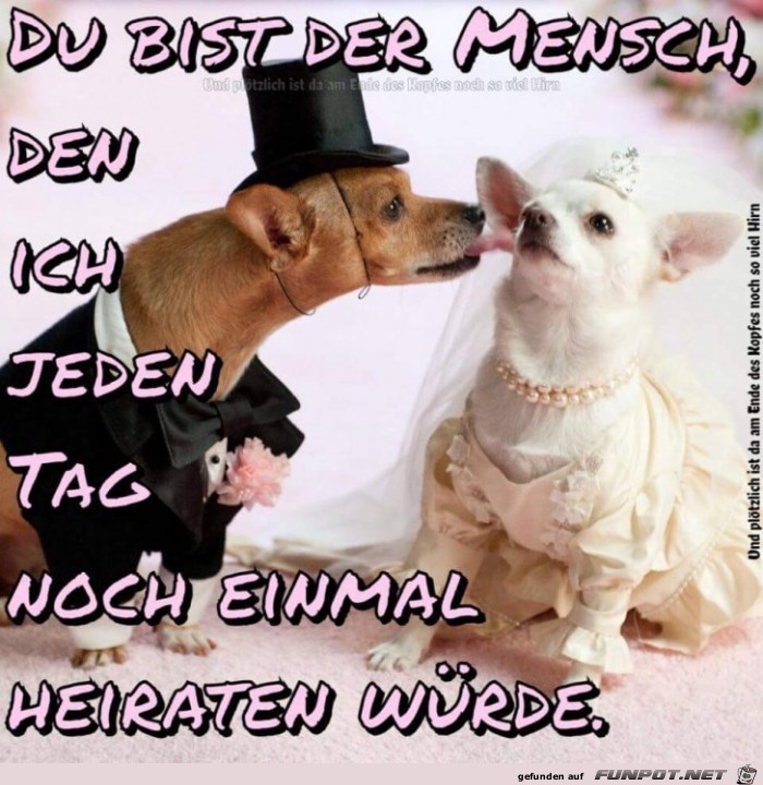 du bist der Mensch du bist der Mensch