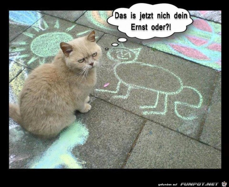 Nicht dein Ernst Nicht dein Ernst