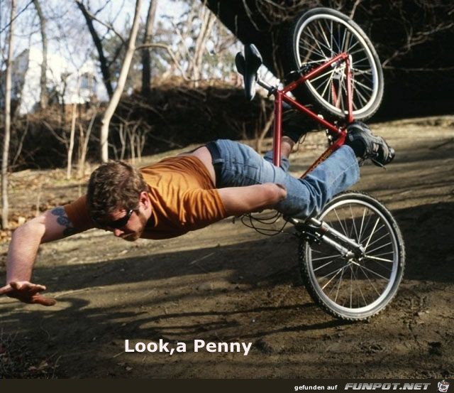 Penny Penny