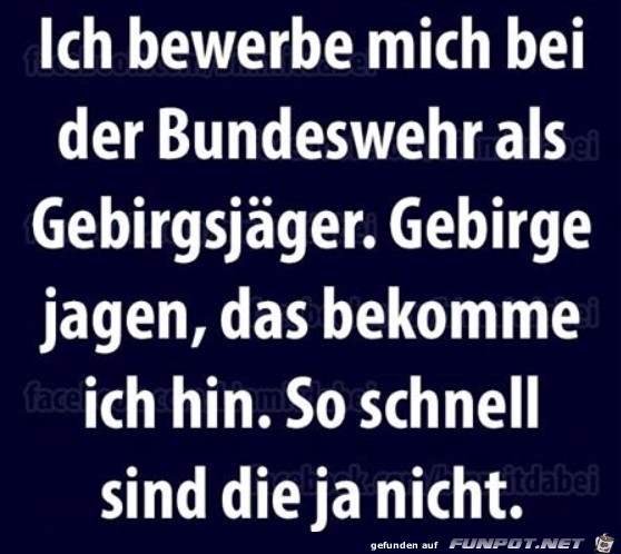 Bild Gebirgsjaeger Bild Gebirgsjaeger
