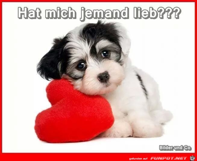 Hat mich jemand lieb Hat mich jemand lieb