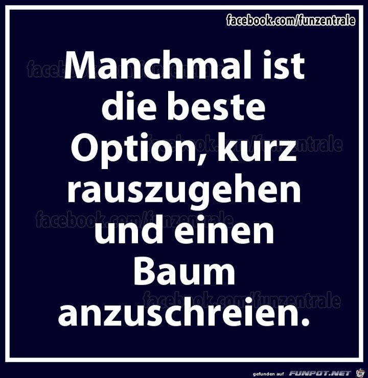 Anschreien Anschreien