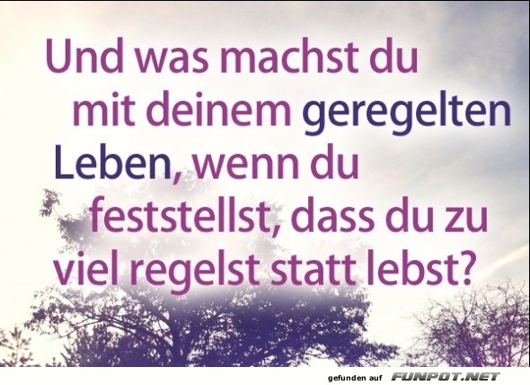 10 schne Sprche und Lebensweisheiten aus...