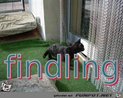findling