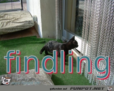 findling findling
