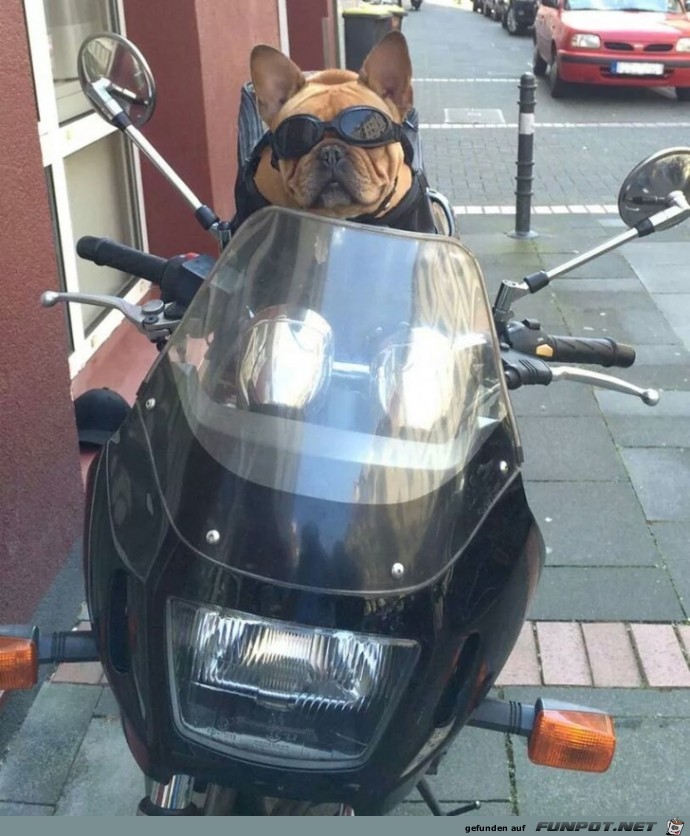 Biker Biker