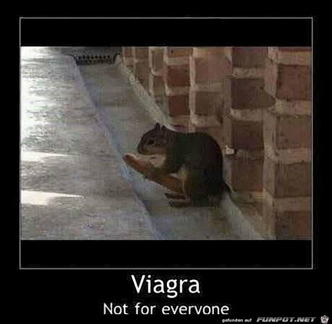 Viagra Viagra