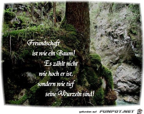 freundschaft 