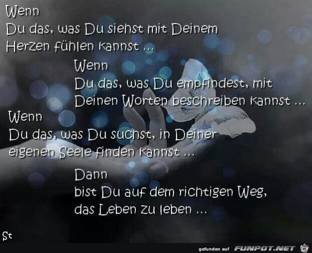 Wenn Du das, was Du siehst... Wenn Du das, was Du siehst...