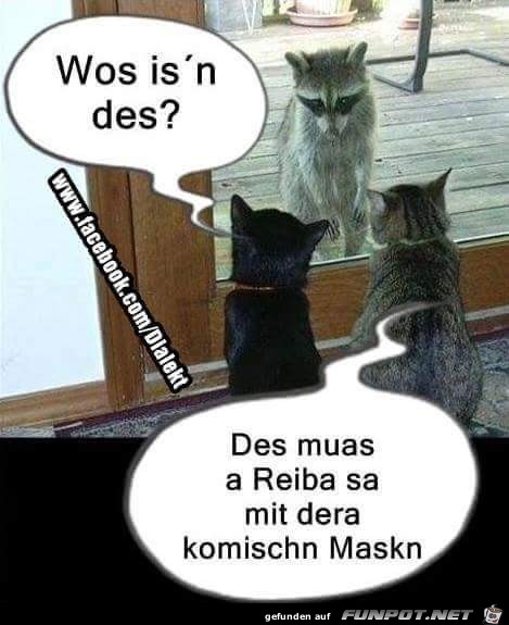 Räuber mit komischer Maske Räuber mit komischer Maske