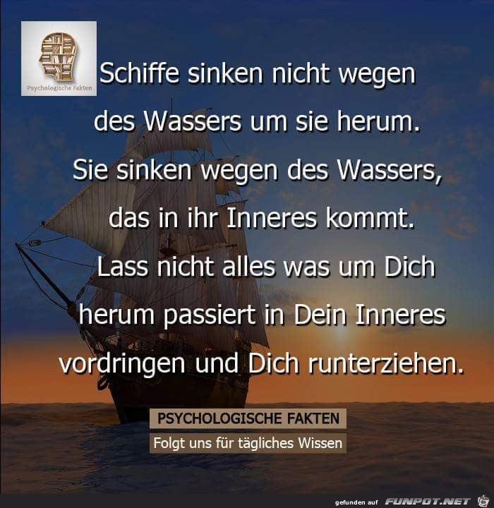 Schiffe sinken nicht wegen...