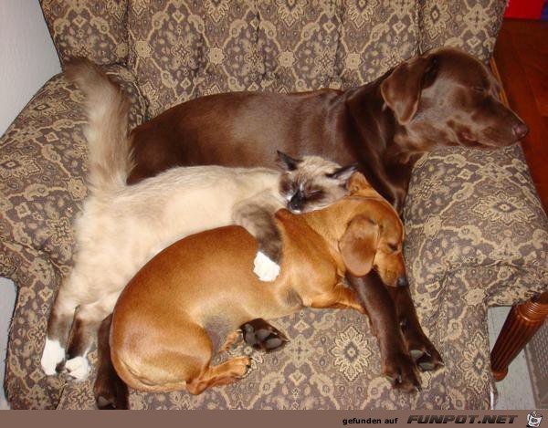 image0099 image0099