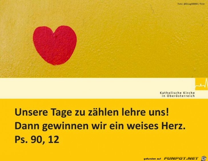 weises Herz weises Herz