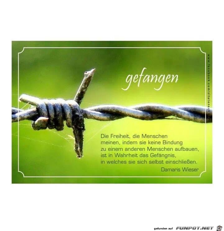 gefangen - die Freiheit, die Menschen meinen... gefangen - die Freiheit, die Menschen meinen...