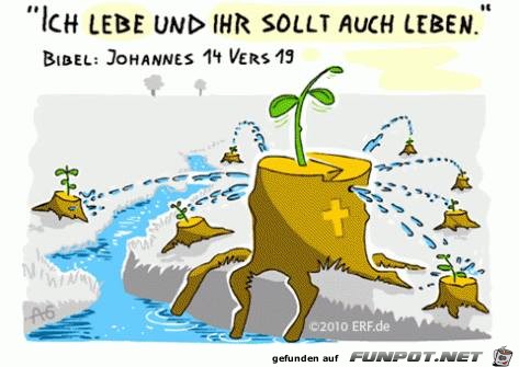 Johannes 14 19