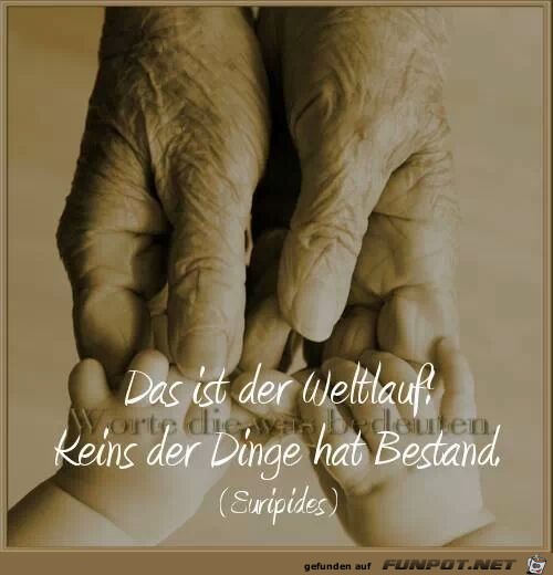 WELTLAUF WELTLAUF