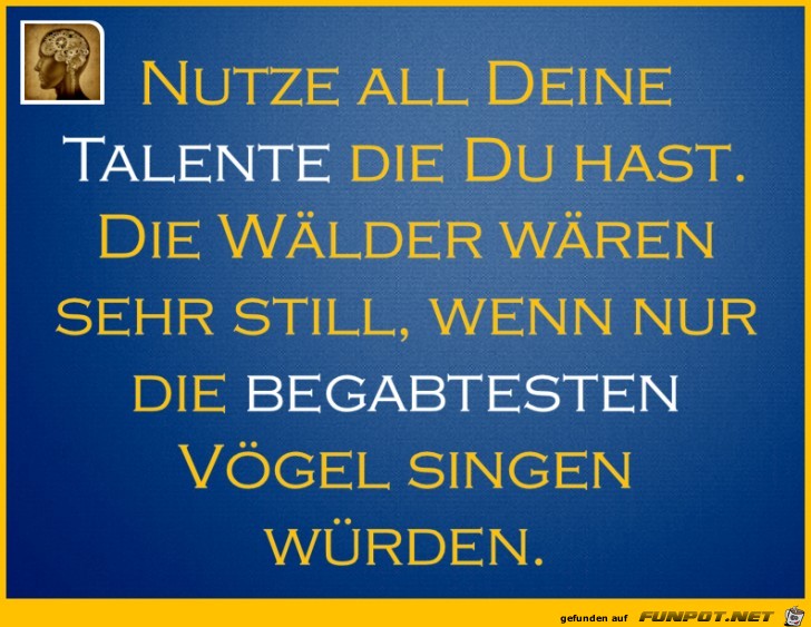 Nutze deine Talente