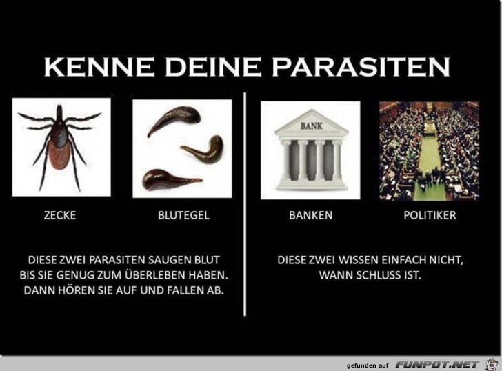 kenne deine Parasiten