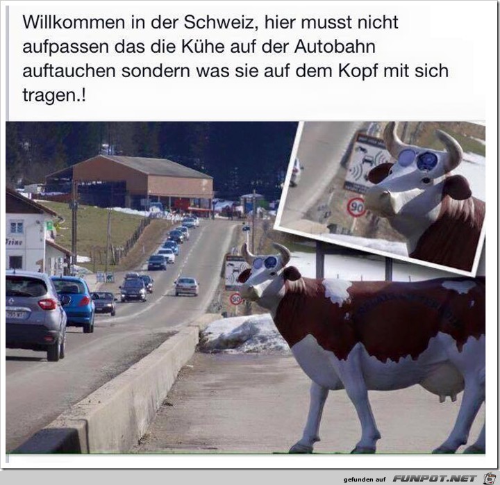 Kuh-Blitzer in der Schweiz