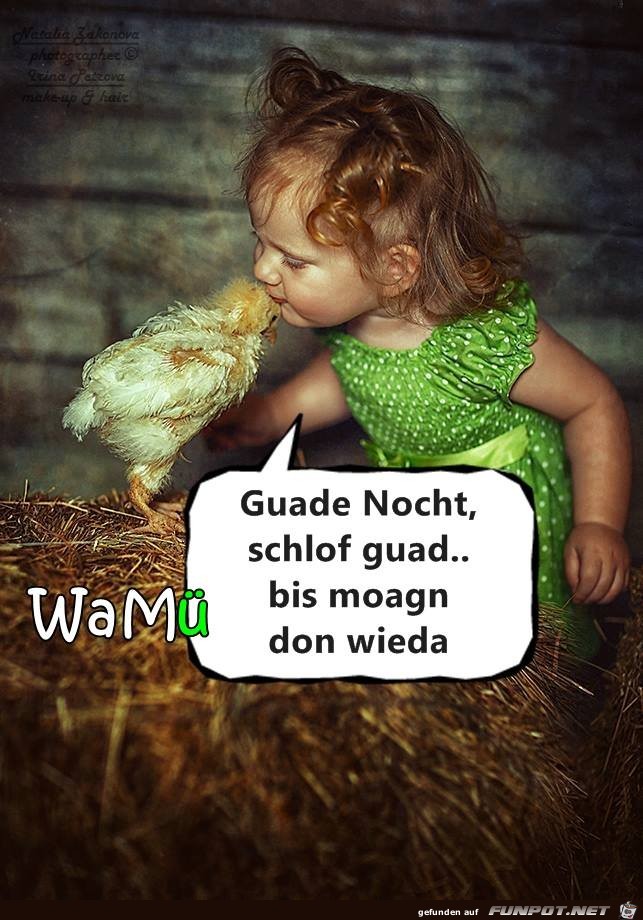 schlof guad