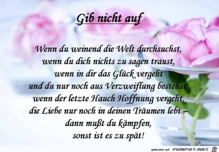 Gib nicht auf