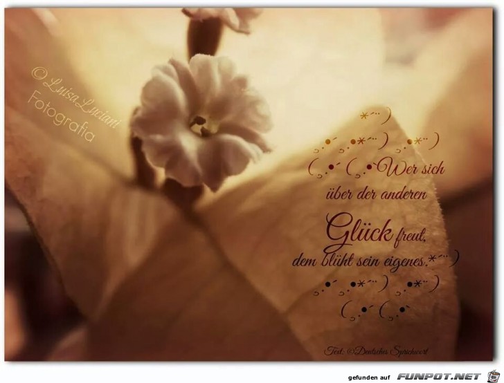 Glueck 2 Glueck 2