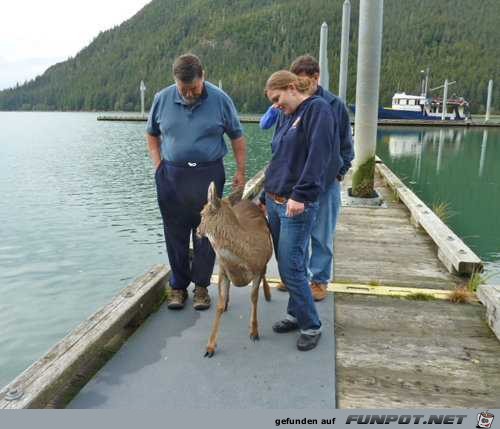 image0044 image0044
