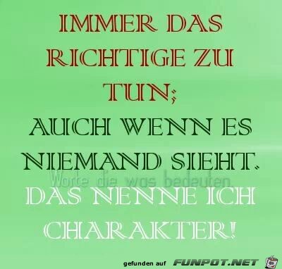 CHARAKTER CHARAKTER