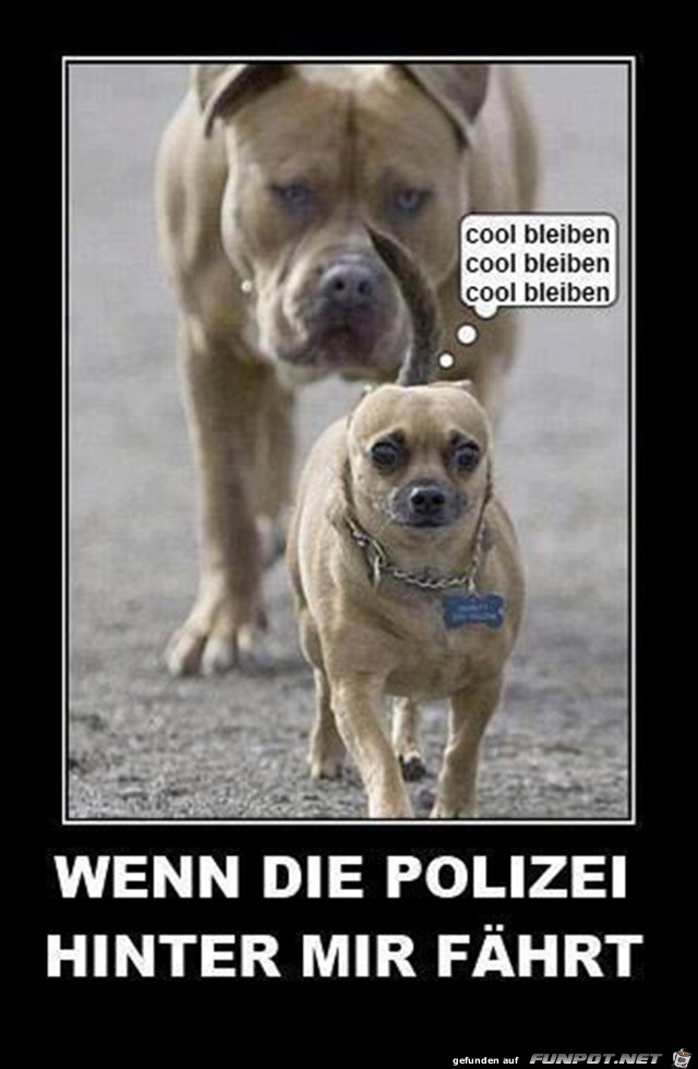Verfolgung Verfolgung