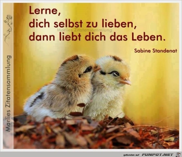 lerne