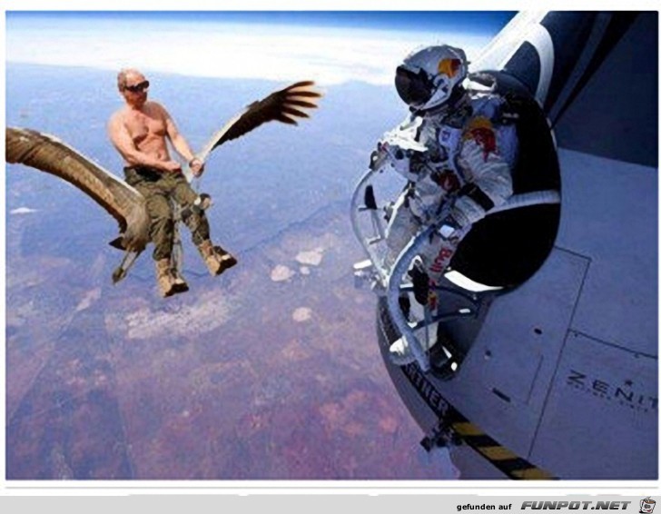 F 8 F 8