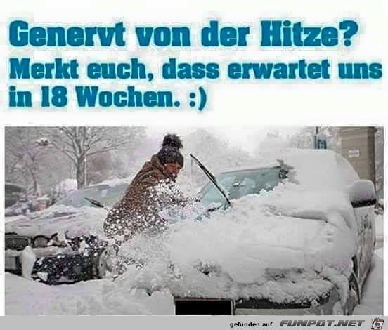 genervt genervt
