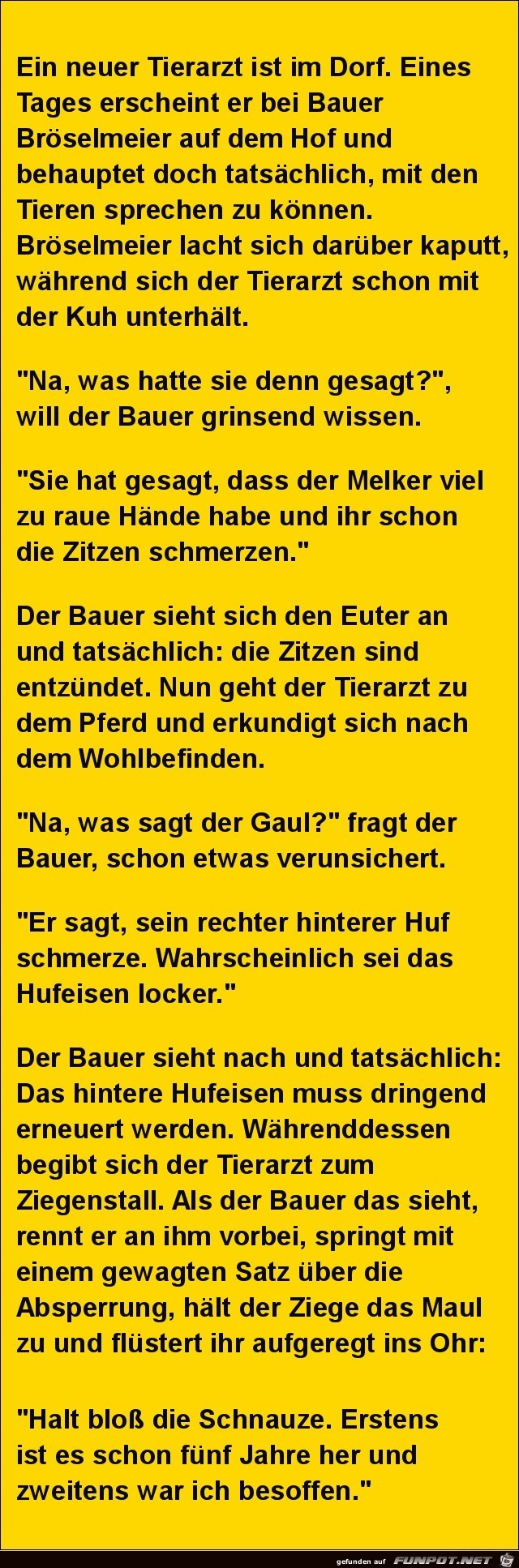 neuer Tierarzt neuer Tierarzt