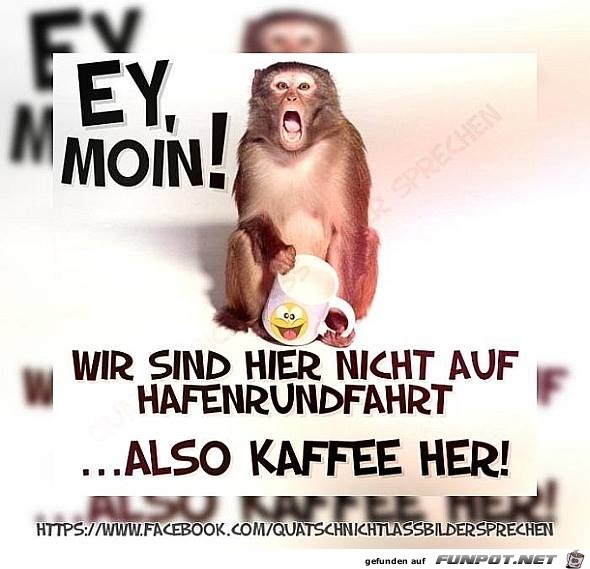 Ey Moin