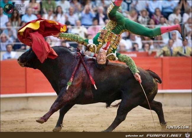 Bulls Brutal Revenge Funzug org 21 Bulls Brutal Revenge Funzug org 21