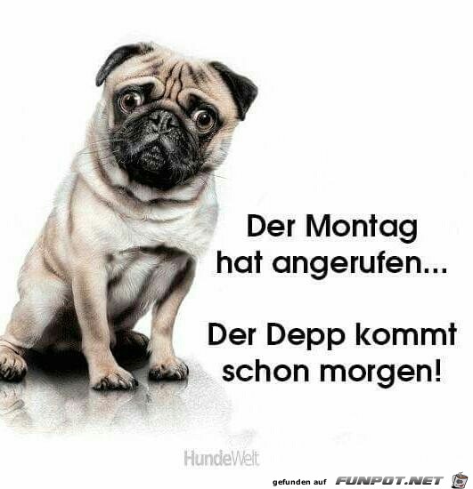 der Montag der Montag