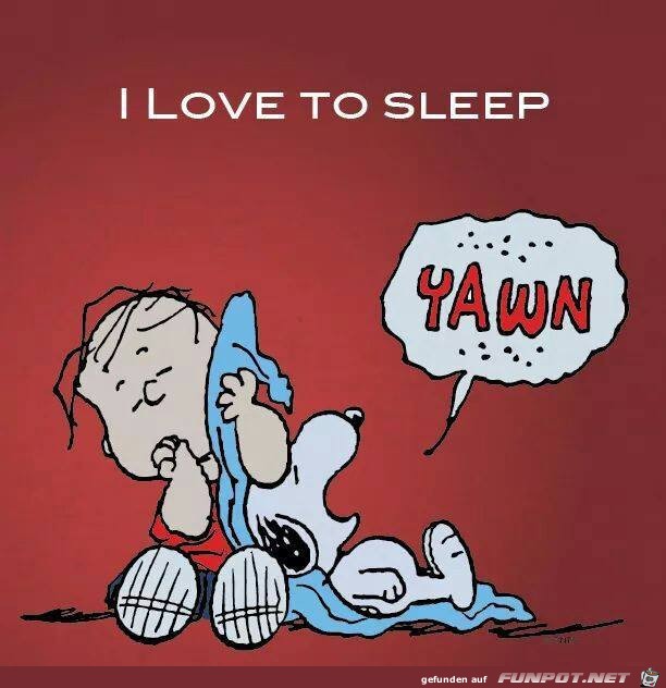 I love to sleep I love to sleep