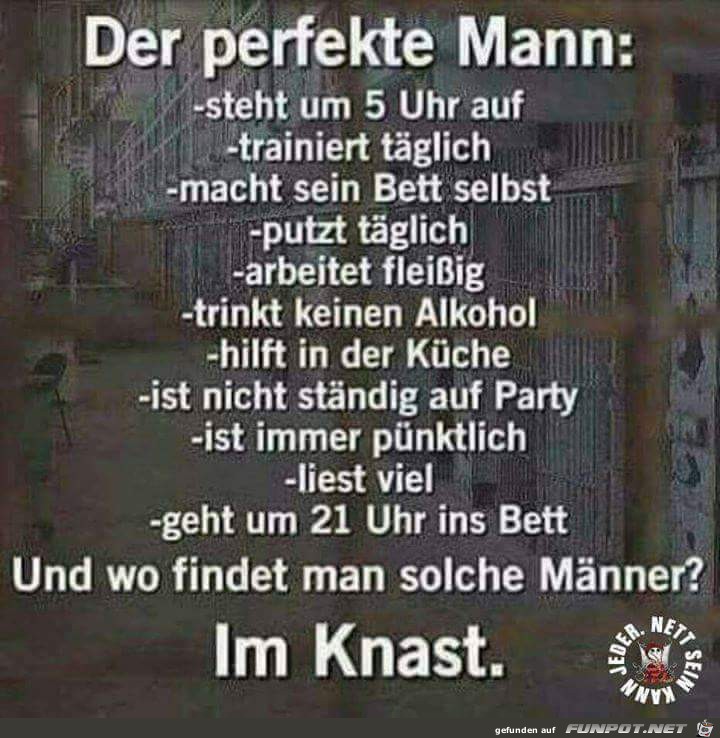 der perfekte mann