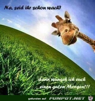 seid ihr schon wach seid ihr schon wach