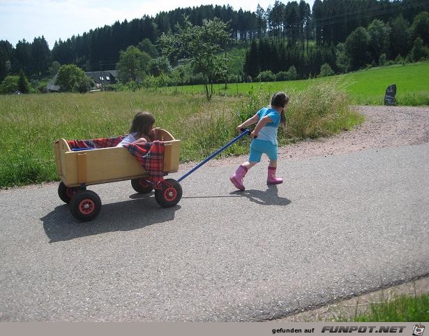 Ich habe ja noch versprochen, dass ich ein paar Bilder...