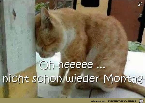 Montag Montag