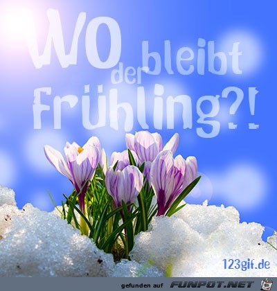 fruehling-0004 fruehling-0004